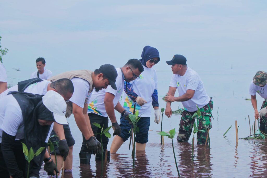 IMG-20241120-WA0076